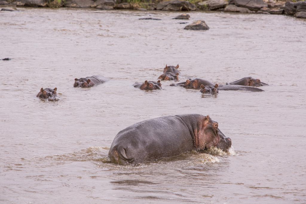 Mara Engai Lodge Lolgorien 外观 照片