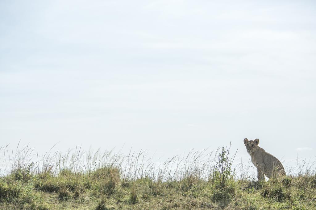 Mara Engai Lodge Lolgorien 外观 照片
