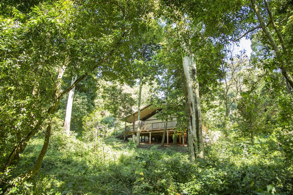 Mara Engai Lodge Lolgorien 外观 照片